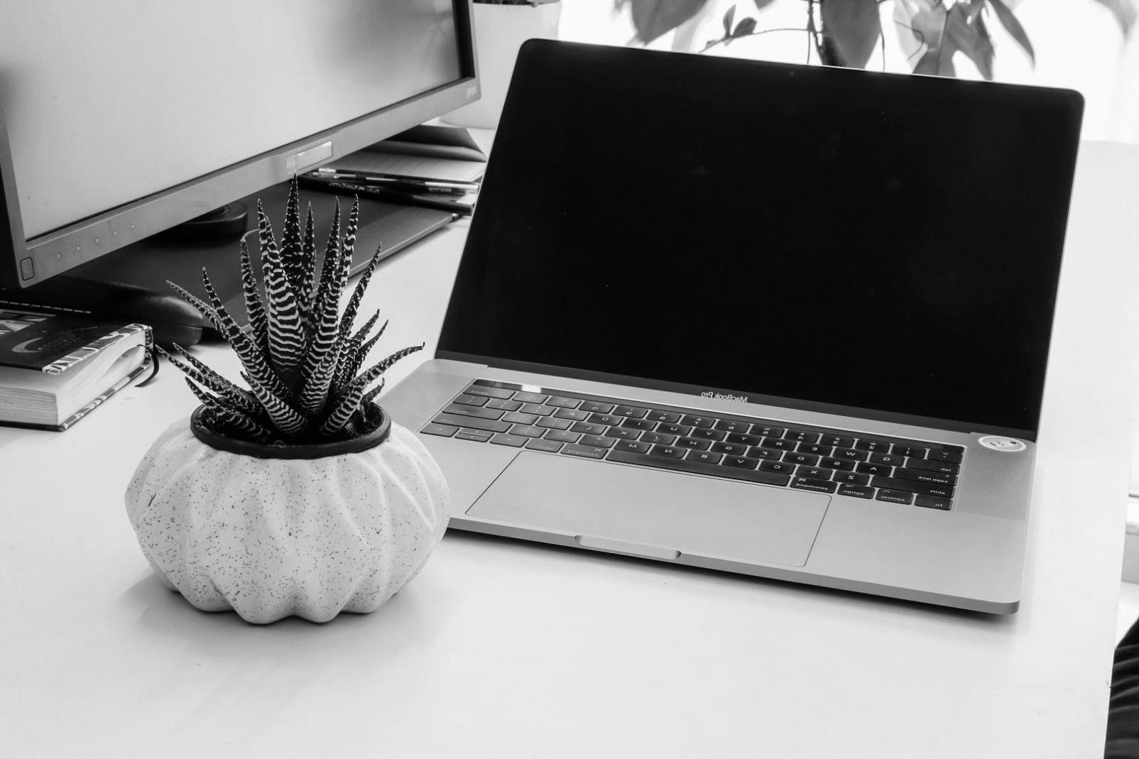 Session de formation interactive avec participants travaillant sur des analyses financières